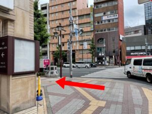 りょうごくえきにしぐちしゅうへんの写真です 目の前に横断歩道があり、そのさきにマクドナルドがあります 赤いひだりむきのやじるしが横断歩道の手前のどうろにかかれています